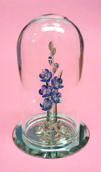 Crystal World "Gladiolus-BL