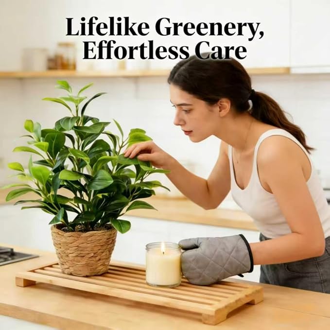 16 inch Artificial Peperomia Potted Plant in Woven Basket Planter Lifelike Two Tone Green Leaves Faux Indoor Branches for Home Office Desk Shelf Bathroom Table Decor