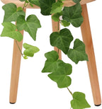 American Plant Exchange English Ivy – Live 6-Inch Potted Trailing Vine, Low-Maintenance Air-Purifying Houseplant for Hanging Baskets, Shelves & Indoor Home or Office Décor