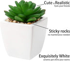 Briful 3PCS Fake Succulents for Farmhouse Tiered Tray Decor Smaller Artificial Potted Plants Faux Plants Indoor Bookshelf Decor House Plants Tabletop Decor in White Ceramic Pot