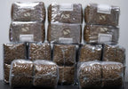 MycoHaus Mushroom Growing Kit | Sterilized Rye Grain | Magic Indoor Grow Bags for Mushrooms | Shroom Home Cultivation Magic Supplies | Without Spores | Without Injection Ports |1 Pound (36 Pack)