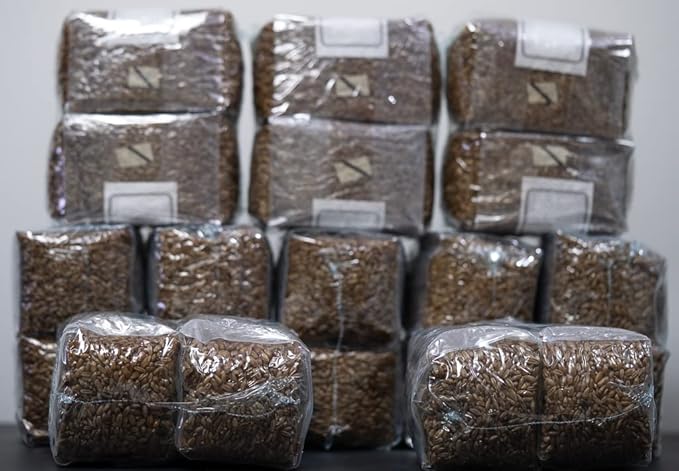 MycoHaus Mushroom Growing Kit | Sterilized Rye Grain | Magic Indoor Grow Bags for Mushrooms | Shroom Home Cultivation Magic Supplies | Without Spores | Without Injection Ports |1 Pound (36 Pack)