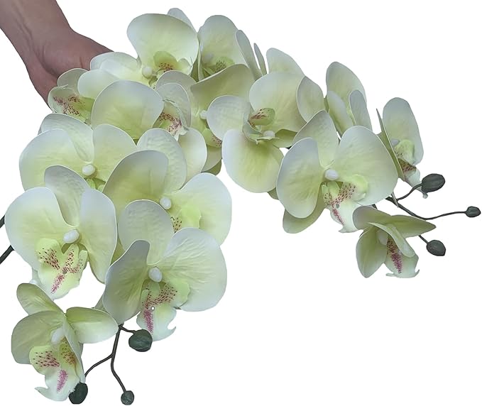 FagusHome 32 Inch Artificial Phalaenopsis Flowers 6 Pcs Artificial Orchid Flowers Stem Plants for Home Décor (Light Green), FH1000143