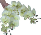 FagusHome 32 Inch Artificial Phalaenopsis Flowers 6 Pcs Artificial Orchid Flowers Stem Plants for Home Décor (Light Green), FH1000143