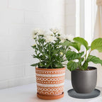 2 Pack Ceramic Plant Saucer Pot Tray 8 Inch, Planter Saucers 4 5 6 7 8 9 10 11 12 13 Inch for Indoors Outdoor, Durable Sturdy Flower Drainage drip Water Tray for Glazed Pots Base (8.5 Inch-Grey)