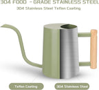CEWOR Sage Green 35 Oz Metal Watering Can with Long Spout for Indoor & Outdoor Plants