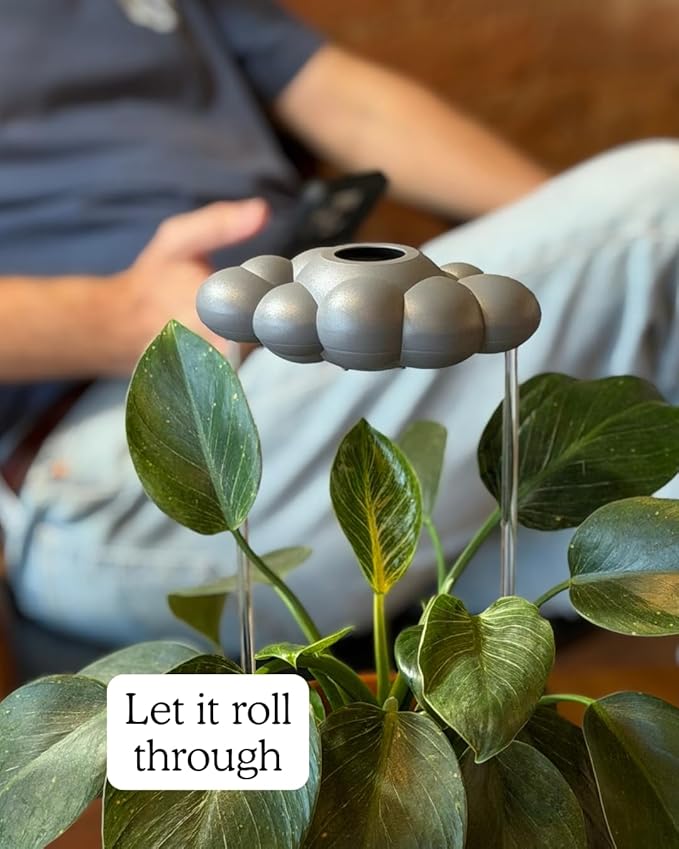 The Stormy Dripping Rain Cloud for Plants, Plant Lover Gift, Gray Cloud, Plant Acessories