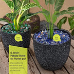 RIFNY Decorative Polished Rocks, 0.3" Gravel Rocks Crushed Crystal for Plant Flower Pots Succulents Cactus Bamboo Plant Vase Filler Aquarium Fish Tank Decorations and DIY Craft (1.5 LB, Green)
