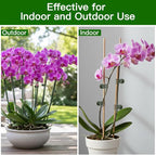 Plant Clips Orchid Clips 120 PCS Plant Clips for Climbing Green Plants Orchid Clips for Plants Support Garden Clips Plant Support Clips Vine Clips Plant Clips for Outdoor Plant Support Stem Vine Stalk