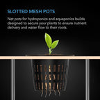 AC Infinity Net Cups 4-Inch, Heavy Duty Garden Slotted Net Pots with Wide Lip Rims, 25-Pack Black Bucket Basket for Indoor Outdoor Growing, Orchids, Aquaponics, Hydroponics