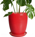 Ceramic Pot for Plants - 8 Inch Plant Pot for Indoor Plants Outdoor Round Planter Modern Flower Pot with Drainage Hole and Saucer Home Garden Office Porch Decor Red