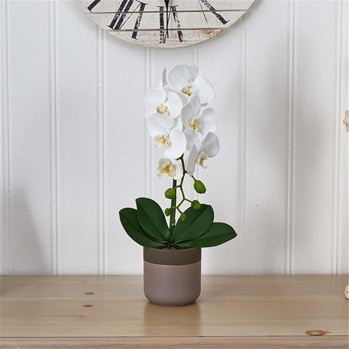 Pemberly Row Faux Phalaenopsis Orchid, 19 in Tall, White Blossoms, Two-Toned Ceramic Pot, Textured Realistic Petals and Leaves, Elegant Decor for Vanity, Bedside or Living Room