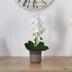 Pemberly Row Faux Phalaenopsis Orchid, 19 in Tall, White Blossoms, Two-Toned Ceramic Pot, Textured Realistic Petals and Leaves, Elegant Decor for Vanity, Bedside or Living Room