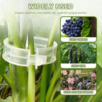 200 Pack Secured Plastic Plant Clips, 2024 Combinable Plant Support Clips, Plastic Trellis Clips for Climbing Plants, Vine Vegetables Fixing Clips, Plant Clips for Tomato Trellis & Peony Cages