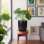 Ceramic Planter 10 Inch - Ceramic Pot for Indoor Plants Outdoor Plant Pot with Drainage Hole and Saucer Cylinder Flower Pot Black
