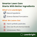 Total Lawn by Lawnbright - Kids & Pet Safe - Phosphorus Free Liquid Fertilizer for Any Grass Type - Lawn Fertilizer with Sea Kelp - Sprayer Included (32 fl. oz)