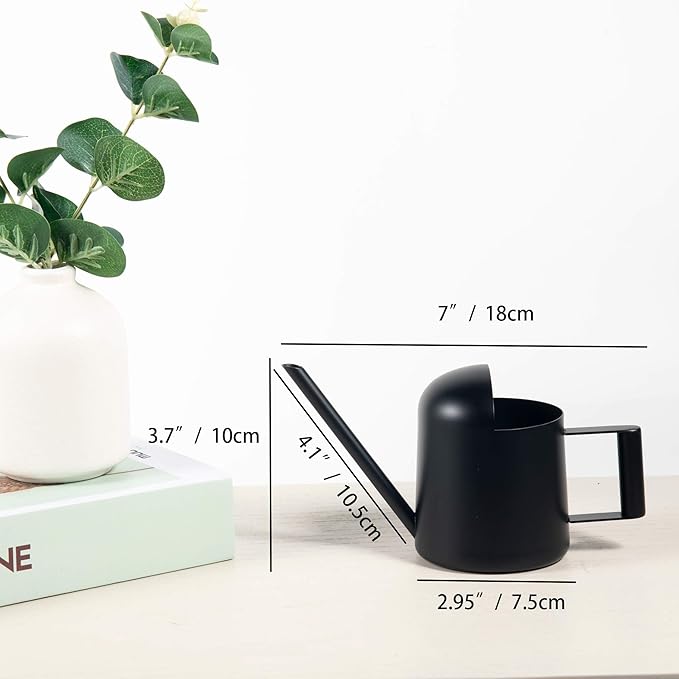 IMEEA Mini Watering Can for Indoor Plants Stainless Steel Small Watering Can 11oz/300ml