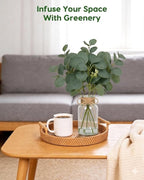 Velener Faux Eucalyptus Stems in Vase with Faux Water, Fake Plants Indoor Artificial Eucalyptus Plant for Home Decor, Kitchen Bathroom Farmhouse Living Room Coffee Table Centerpieces for Tables Green