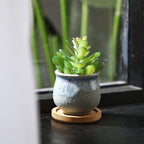 Remerry 18 Pcs Small Succulent Pots Bulk with Drainage 2.5 Inch Assorted Mini Ceramic Succulent Planters Pot with Coaster Bamboo Plant Tray Planting Pots for Home Office Garden