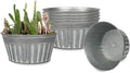 vensovo 8 Inches Silver Metal Rustic Plant Pots - 6Pcs Shallow Galvanized Planters with Drain Hole and Rubber Plug, Rustproof Tin Bucket Succulent Pot Indoor Farmhouse Vintage Style for Decor