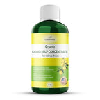 GARDENWISE Organic Premium Kelp Seaweed Fertilizer: All-in-One Citrus Tree Fertilizer for Meyer Lemon, Lime, and Other Fruiting Trees - Liquid Plant Food for Potted & Outdoor Citrus Trees (8 OZ)