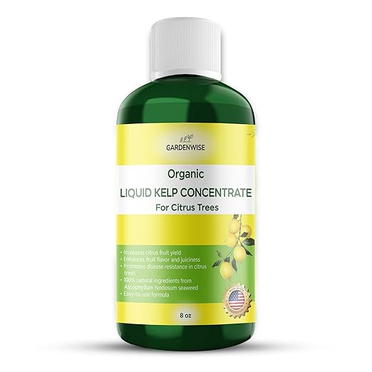 GARDENWISE Organic Premium Kelp Seaweed Fertilizer: All-in-One Citrus Tree Fertilizer for Meyer Lemon, Lime, and Other Fruiting Trees - Liquid Plant Food for Potted & Outdoor Citrus Trees (8 OZ)