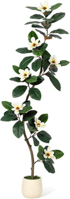 6ft Artificial Rubber Tree with 7 Pcs Magnolia Flowers,Tall Fake Tree with White Planter and Moss Decor,Faux Plants Indoor for Home Living Room Porch Decor
