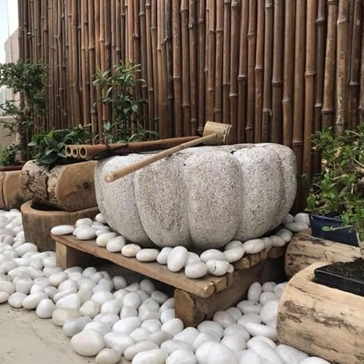 YISZM 10lbs White River Rocks, 2-3 Inch Natural Pebbles for Indoor Plants, High Polished Decorative Stones Vase Filler Fish Tank Aquariums Landscaping Garden Outdoor and Indoor DIY