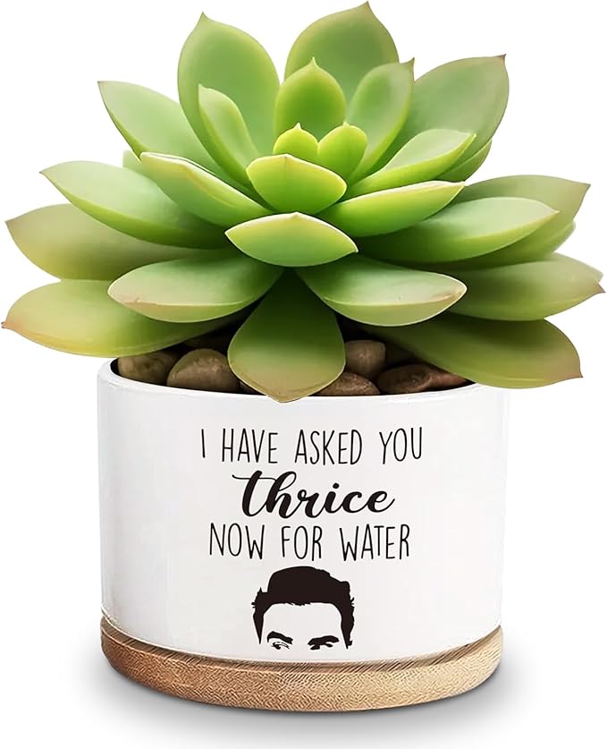 Thrice Now for Water Ceramic Succulent Planter Cactus Pots, Funny Planter Pots Gifts for Plant Lovers ﻿