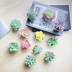 Tiita Artificial Faux Succulents in Pots Fake Plants Plastic Arrangement Planter Small Mini Tiny Decoration for Home Office Desk Window Sill Bathroom Bedroom Outdoor Indoor 12 Set