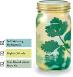 Modern Sprout Mason Garden Jar + Replant Kit - Self-Watering Hydroponics Growing System Kit w/Organic Herb Seeds - Jar Planter for Indoor Herb Garden - Seed Starter - Home Decor Gifting - Cilantro