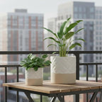 Nihow Self Watering Plant Pot for Indoor Plants: 4.5+6 Inch Ceramic Planter with Drainage Hole & Water Storage Plus - Cylinder Flower Pot with Wick for Herbs - Matte White & Brown Star