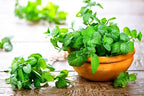 GARDENERA Spearmint Plant Potting Soil - Elevate Your Spearmint Garden with Professional Grade Nutrient-Rich Mix - 3 Quart