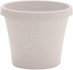 Bloem Terra 4" Diameter Round Vanilla Bean Resin Planter Pot with Pre-Drilled Drainage Holes for Indoor and Outdoor Gardening