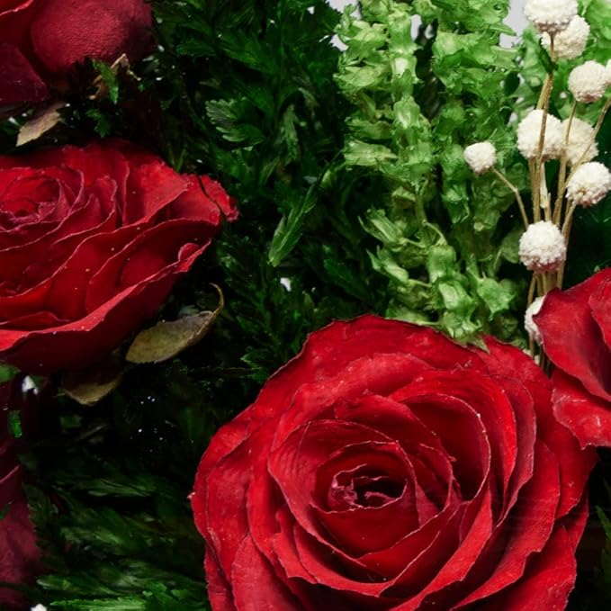 Fiora Flower | Long Lasting Real Roses in a Sealed Vase | Lasts up to 5 Years | Unique Present Gift