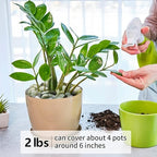 YISZM 2LB Succulent and Cactus Jade Pebbles, 3/8 Inch Natural Decorative Polished Stones, River Rocks for Indoor Plants, Vases, Planters and Outdoor Gardening