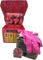 All-in-One Mushroom Grow Bag, Complete Cultivation Kit, 3lb