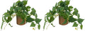 Artificial Plant Indoor Fake Pothos with Pulp Pot, Faux Potted Plant for Home, Office, Desk, Shelf, Living Room, Bedroom & Balcony Decor, 10x10cm, 2 Pack