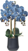 Orchids Artificial Plant in Ceramic Pot 18.5" Faux Orchid Phalaenopsis Flowers Arrangement for Home Office Table Centerpiece Indoor Decor, Dusty Blue