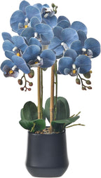 Orchids Artificial Plant in Ceramic Pot 18.5" Faux Orchid Phalaenopsis Flowers Arrangement for Home Office Table Centerpiece Indoor Decor, Dusty Blue