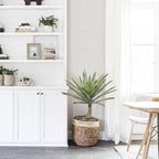 Briful Large Agave Plants Artificial 27.5in Tall Fake Potted Agave Plant Indoor Faux Succulent Tropical Plants for Home Office Room Balcony Garden Outdoor Decor