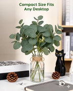 Velener Faux Eucalyptus Stems in Vase with Faux Water, Fake Plants Indoor Artificial Eucalyptus Plant for Home Decor, Kitchen Bathroom Farmhouse Living Room Coffee Table Centerpieces for Tables Green