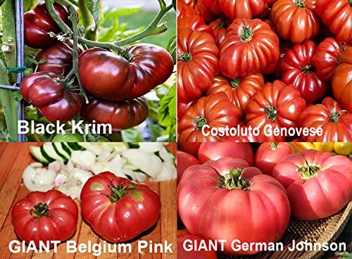 This is A Mix 30 Rainbow Deluxe Tomato Seeds Mix 16 Varieties, Heirloom Non-GMO, Indeterminate, Old German, Chocolate Stripes, Ukrainian Purple, Amish Paste USA Grown Solanum lycoperscium
