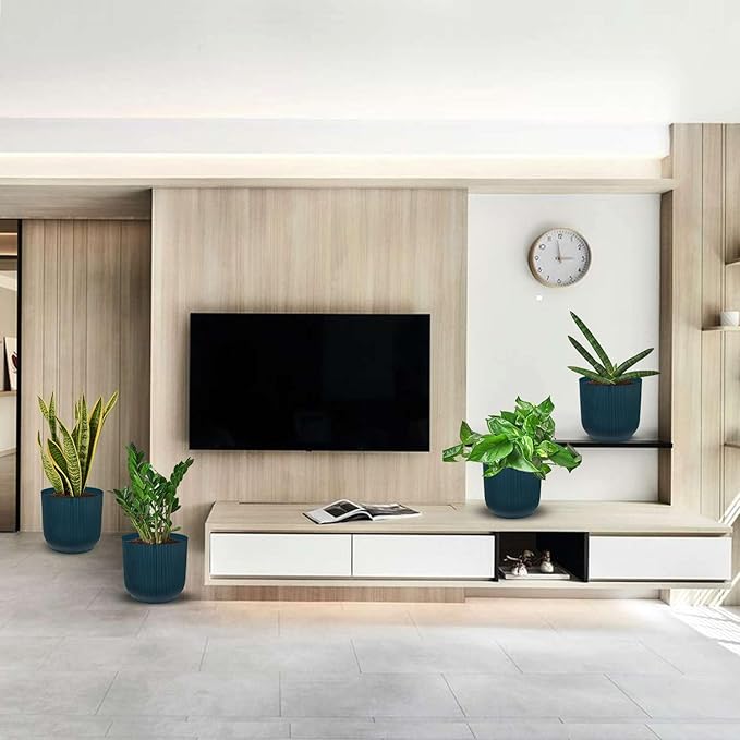 Easy Care Live Plants for Indoor | Different Houseplants in Multiple Sizes | Real House Plant for Living Room, Office, Desk & Bathroom