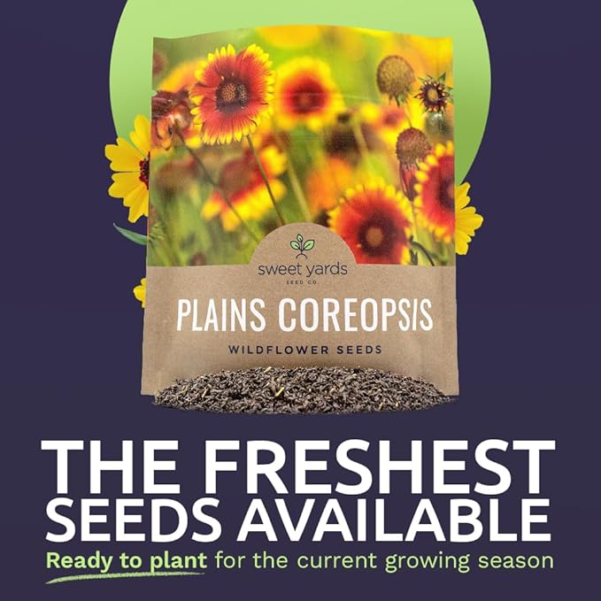 Plains Coreopsis Seeds – Native Flowers – Extra Large Packet – Over 100,000 Open Pollinated Non-GMO Wildflower Seeds – Coreopsis tinctorial