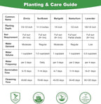 LUOJIBIE 5 Varieties Flower Seeds in Individual Packs, Includes Zinnia, Lavender, Sunflower, Marigold Nasturtium, 15,000+ High Germination Non-GMO Seeds for Planting Indoor Outdoor, Open Pollinated