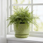 G EPGardening Indoor Plant Pot 5.5 Inch - Ceramic Planter with Drainage Hole and Saucer, Round Boho Plant Pot for Indoor Plants, Plant Lover Gifts, Home Garden Office Decor, Green