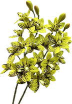 4pcs Artificial Cymbidium Orchid Flower Plant 3D Print Vanda 10 Heads Latex Phalaenopsis Flower (Black Green)