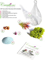 Creations by Nathalie - DIY Terrarium Kit with Live Air Plant (Local & Fresh from Florida), Glass Tear Drop, Reindeer Moss, Figurine, Healing Crystal Chips and Sand - Handmade in USA