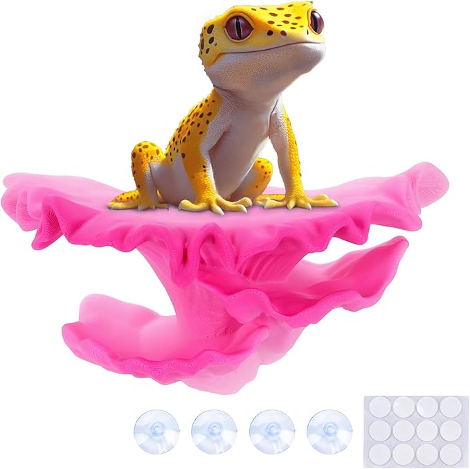 Westant Mushroom Decor for Reptile Tank, Fish Tank, Pet-Safe Bearded Dragon Tank Accessories, Realistic Terrarium Plants for Leopard Geckos, Crested Geckos, Tree Frogs, Snakes (Bloom, Shelf Cap)